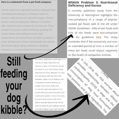 743E1E80-EC1F-4495-B74B-85EDD5873AAC.jpeg