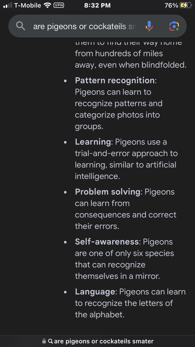 IMG_4906.png