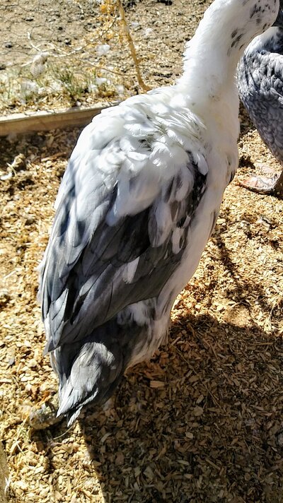 20241113_113135_HDR~2.jpg
