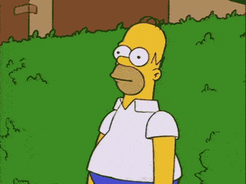 a93jwI0wkWTQs (1).gif
