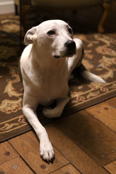 D75_6474.jpg