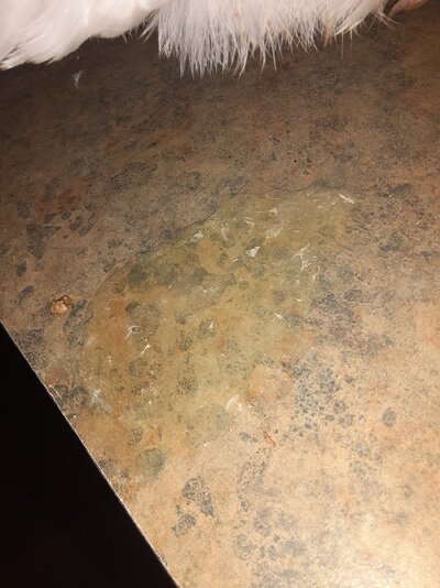 20241118_103834.jpg