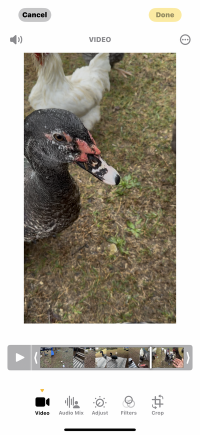 IMG_1062.png
