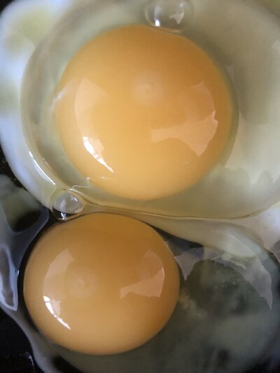 IMG_5846.jpeg