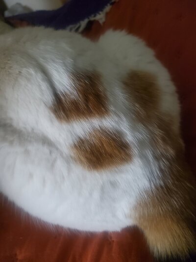 20241123_221024.jpg