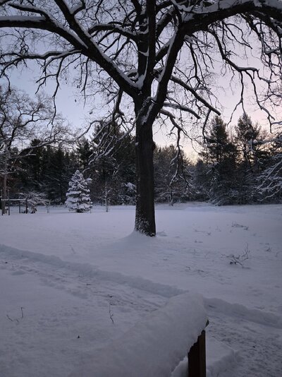 20241206_074012.jpg