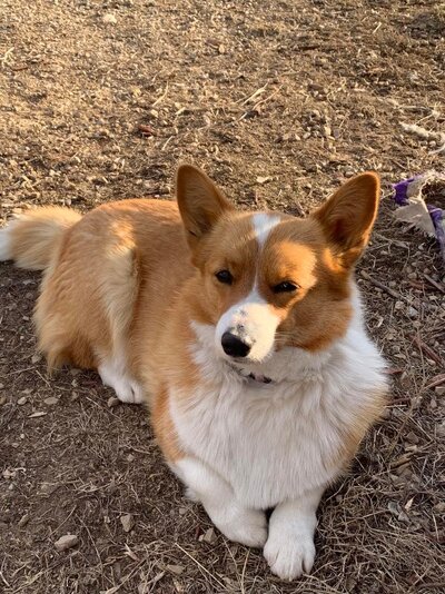 Maggie graduated 3.jpg