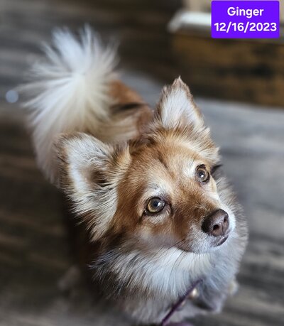 20231216_110631.jpg