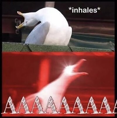 IMG_0377.jpeg