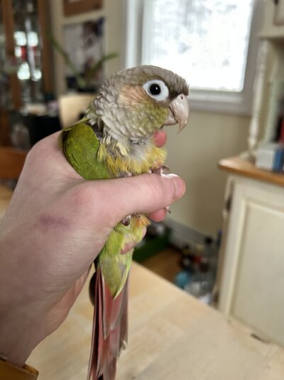 IMG_1632.jpeg