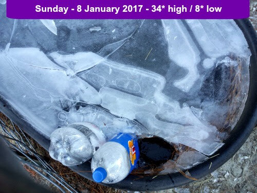 17jan8160911.jpg