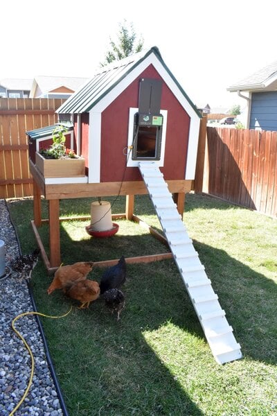 My DIY chicken coop.