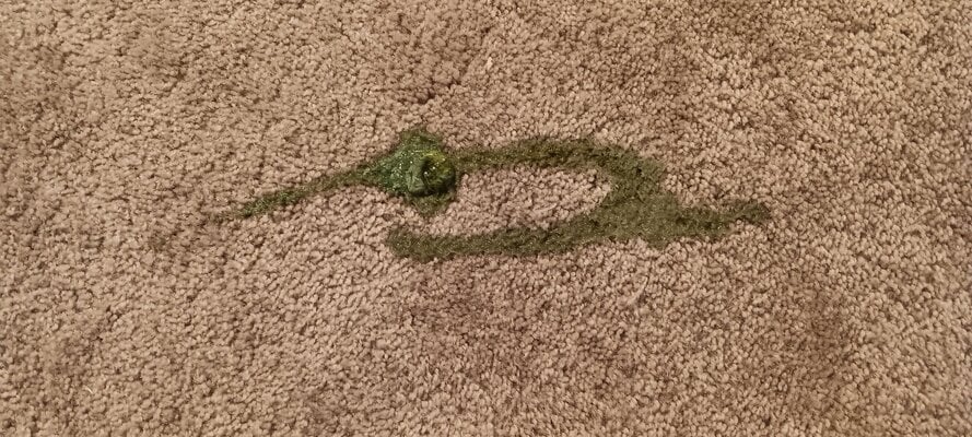 20241223_160912.jpg