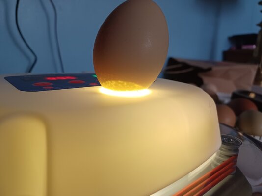 20241225_134654.jpg