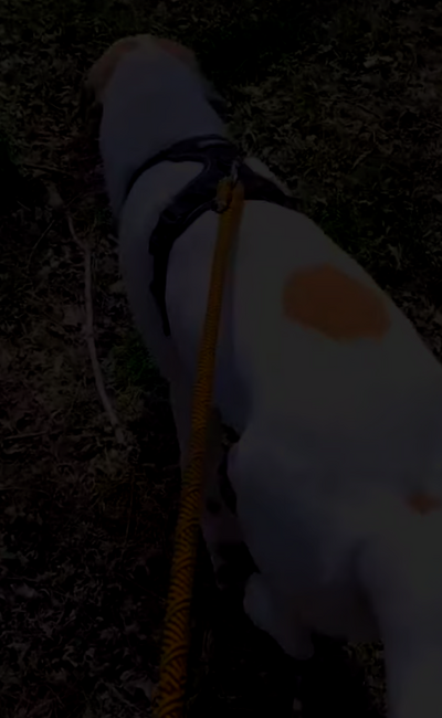 Screenshot_20241228-064122~3.png