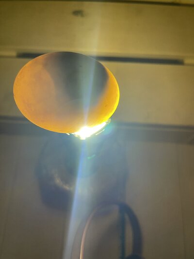IMG_1068.jpeg