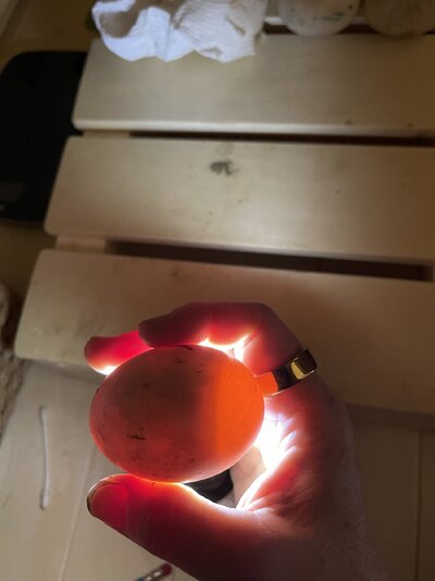 IMG_1074.jpeg