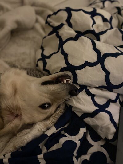 IMG_1051.jpeg
