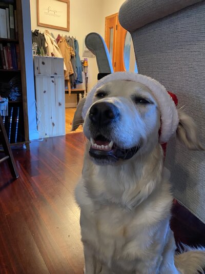 IMG_0304.jpeg