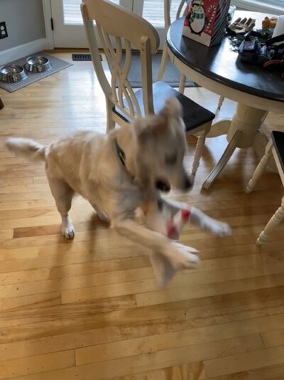 IMG_0029.jpeg