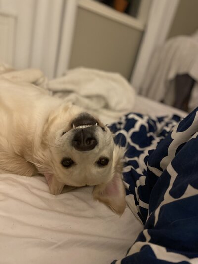 IMG_0002.jpeg