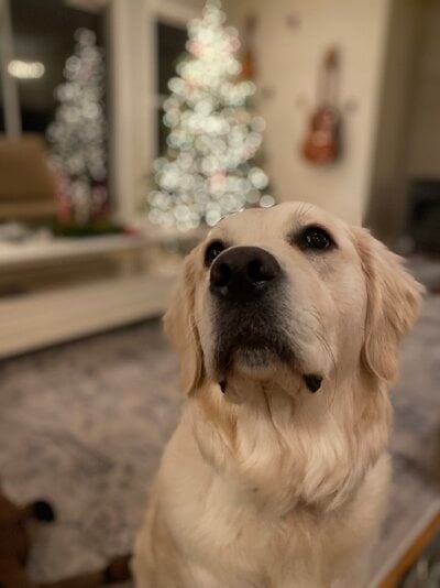 IMG_9782.jpeg