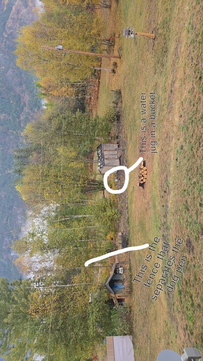 Snapchat-1526059464.jpg