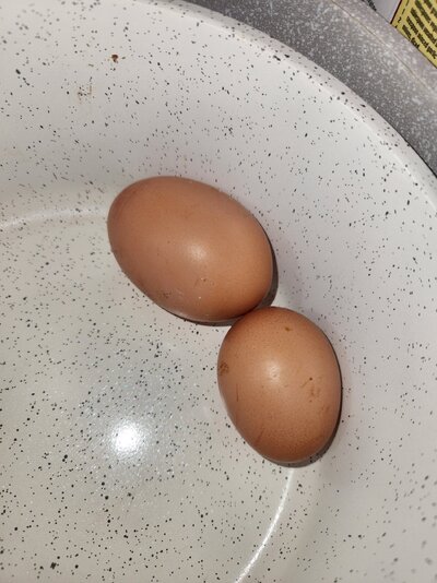 20241223_175710.jpg