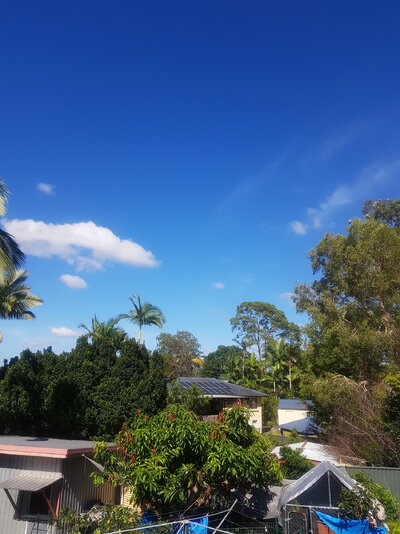 20250107_083630.jpg
