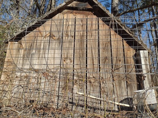 IMG_20250108_111908133_HDR.jpg