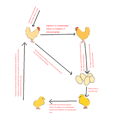 1736428829802.png