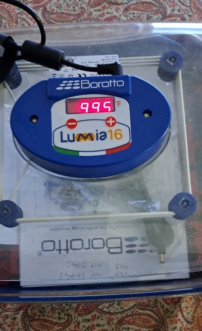 20240125_172416.jpg