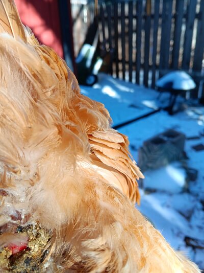 20250110_133834.jpg