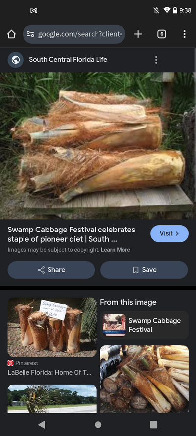 Screenshot_20250111-213853.png