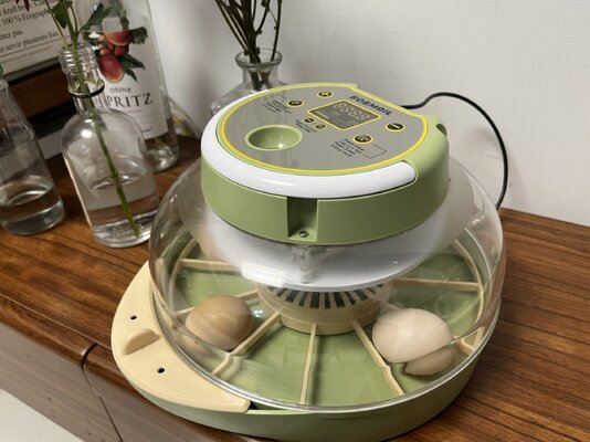 bobmail egg incubator 5.jpg