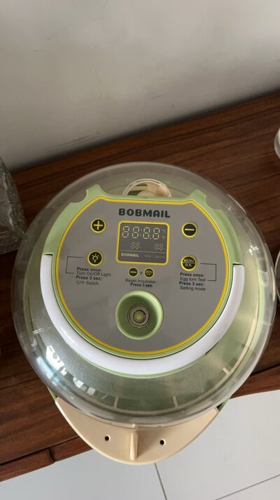 bobmail egg incubator.jpg