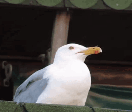 37DC30D8-E2E9-435F-99BD-66D2E16A0D2B.gif