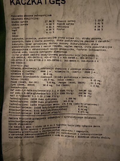 IMG_1383.jpeg