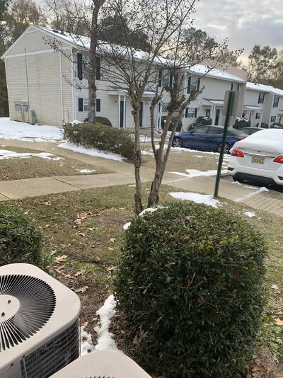 IMG_4983.jpeg