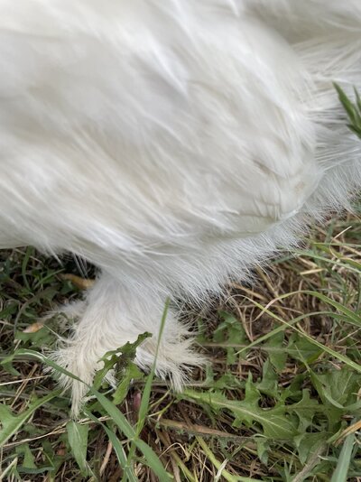 IMG_5989.jpeg