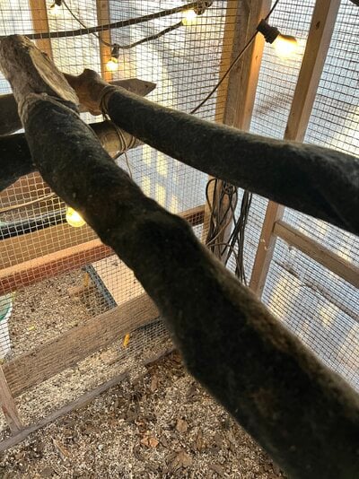 IMG_0686.jpeg
