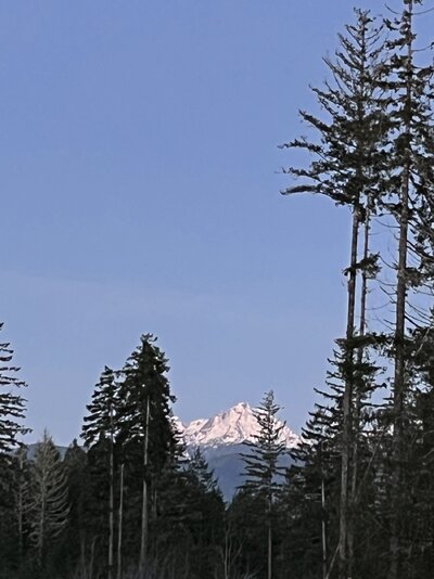 IMG_6690.jpeg