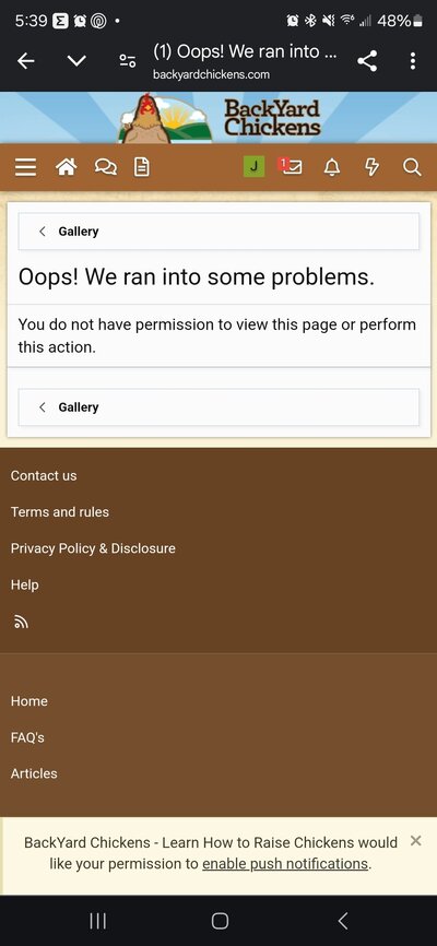 Screenshot_20250126_173933_Chrome.jpg