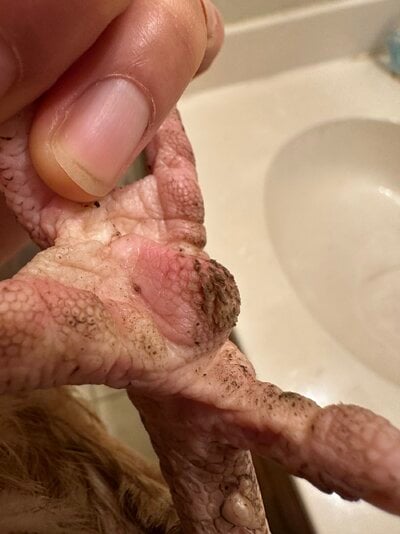 IMG_1480.jpeg