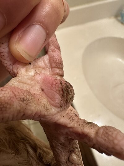 IMG_1480.jpeg