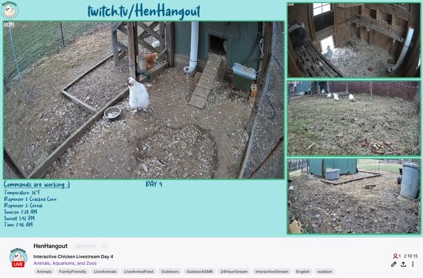 stream.jpg