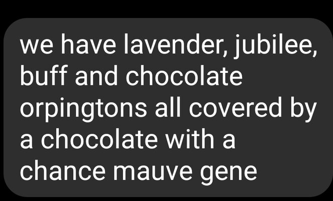 Screenshot_20250205_153402_Messenger.jpg