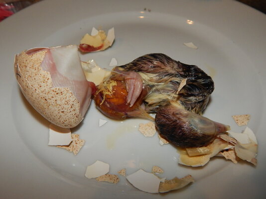 DSCN0952.JPG