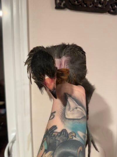 IMG_4076.jpeg