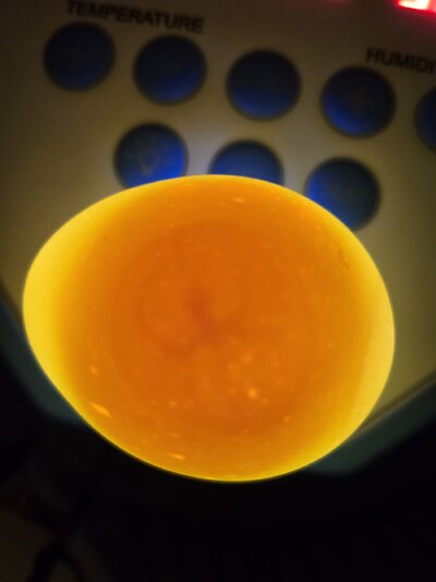 20250208_213753.jpg